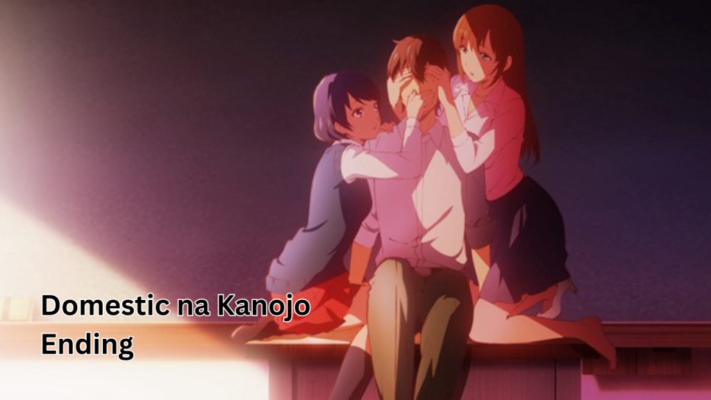 Domestic na Kanojo Ending