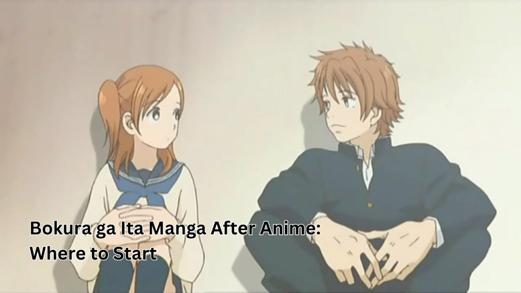 Bokura ga Ita Manga After Anime