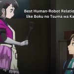 Anime Like Boku no Tsuma wa Kanjou ga Nai: Human-Robot Relationships