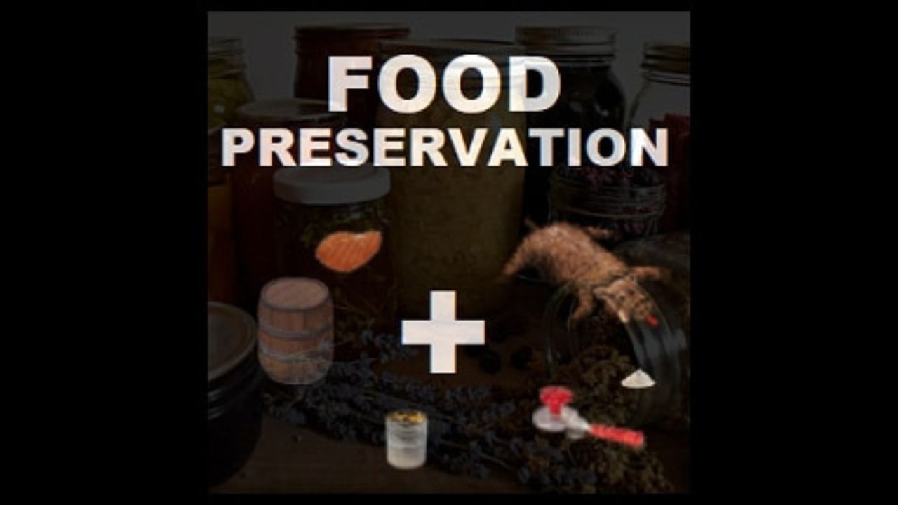 Project Zomboid Food Mods