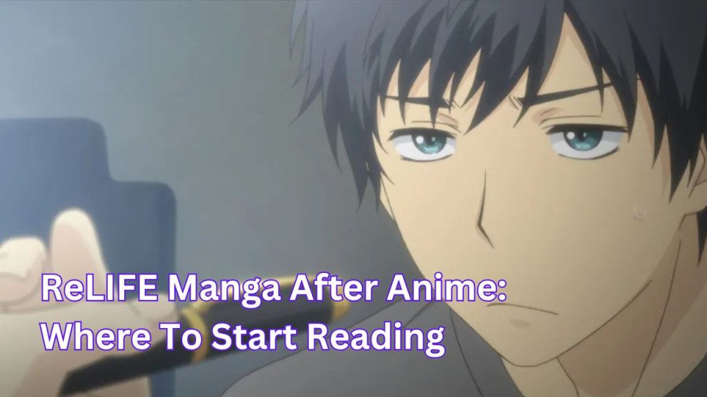 ReLIFE Manga After Anime