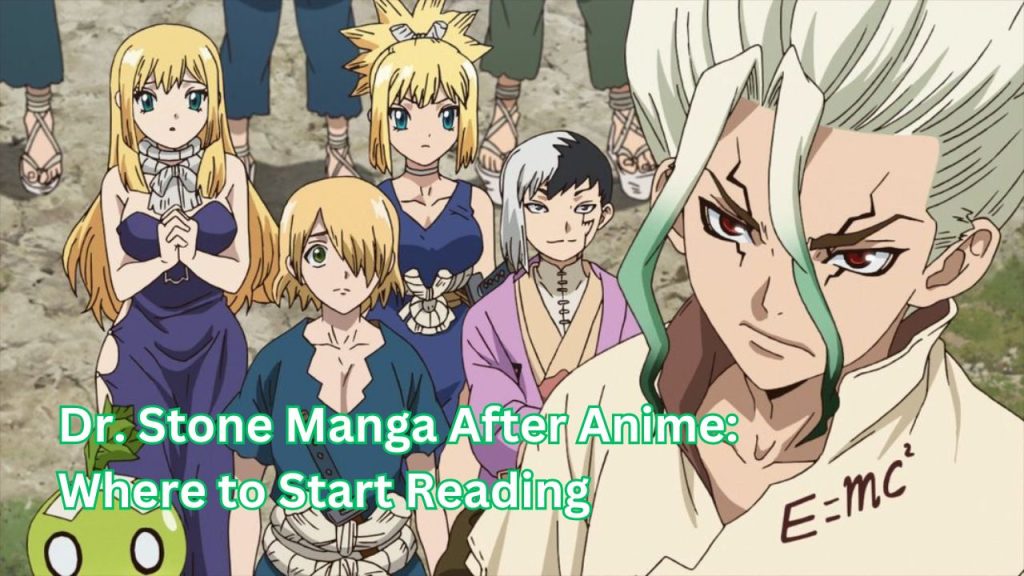 Dr. Stone Manga After Anime