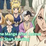 Dr. Stone Manga After Anime