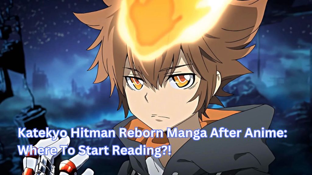 Katekyo Hitman Reborn Manga After Anime