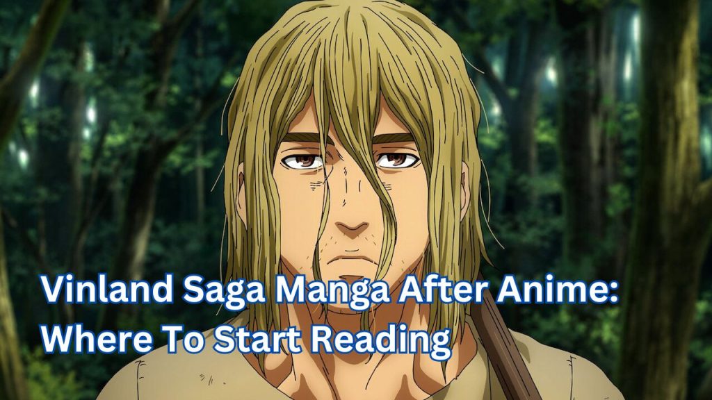 Vinland Saga Manga After Anime